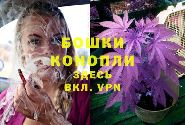 эйфоретик Горнозаводск