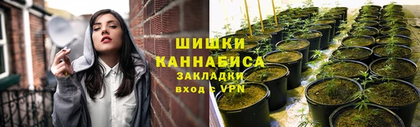 эйфоретик Горнозаводск