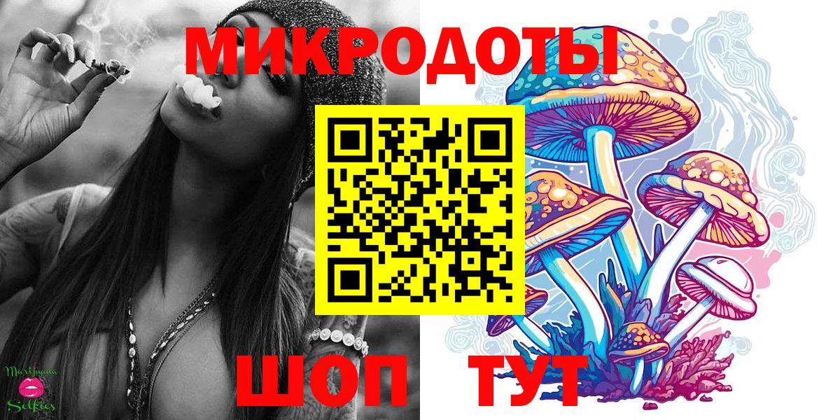 Псилоцибиновые грибы Psilocybine cubensis  Моршанск 