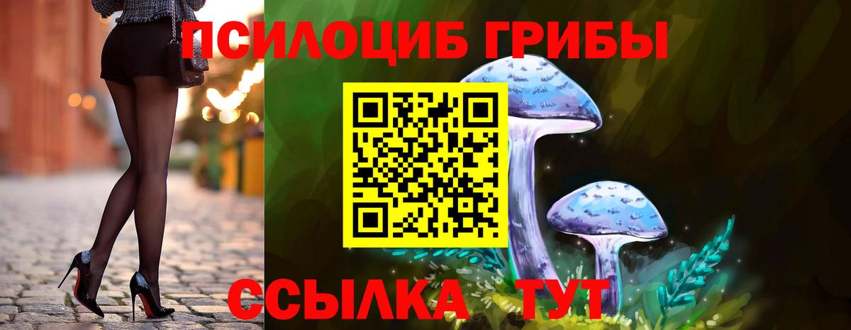 Галлюциногенные грибы Magic Shrooms Моршанск