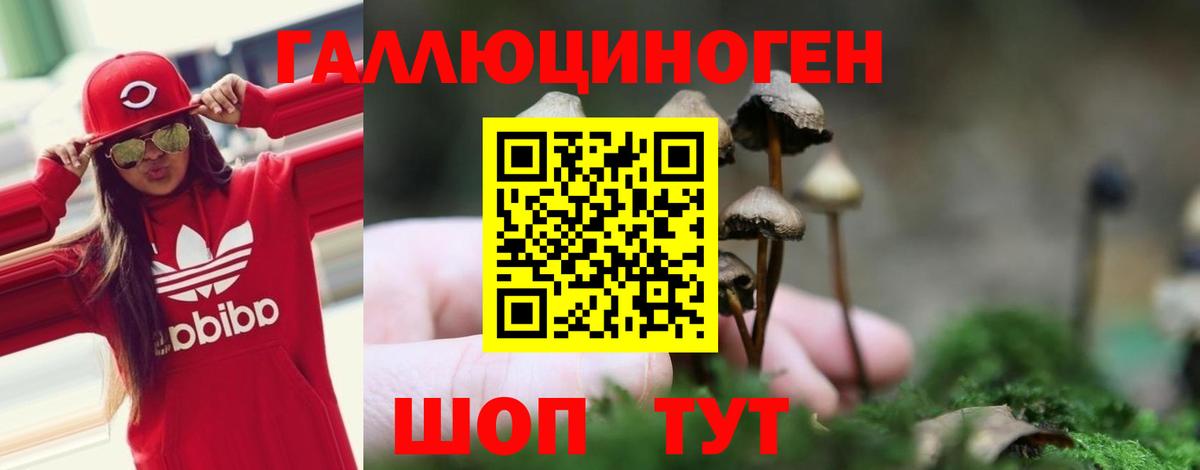 Моршанск  Псилоцибиновые грибы Magic Shrooms  Вход с VPN  Галлюциногенные грибы мухоморы 