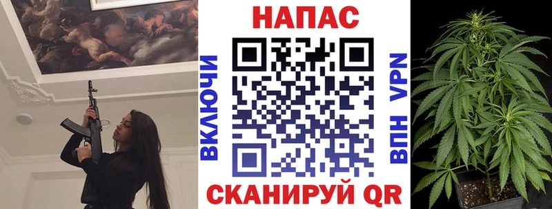 Каннабис гибрид  Моршанск 